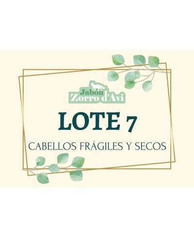 LOTE 7 - CABELLOS FRÁGILES Y SECOS MARCA ZORRO D´AVI